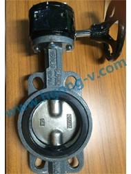 API/DIN/JIS worm gear iron wafer butterfly valve